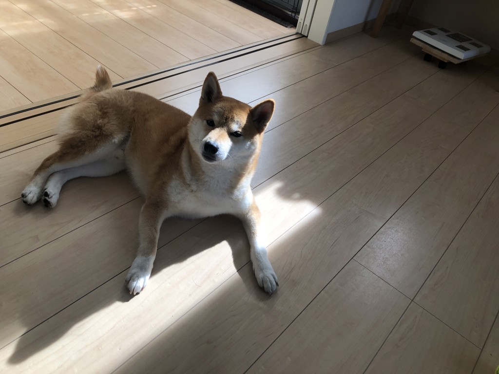 かっきー