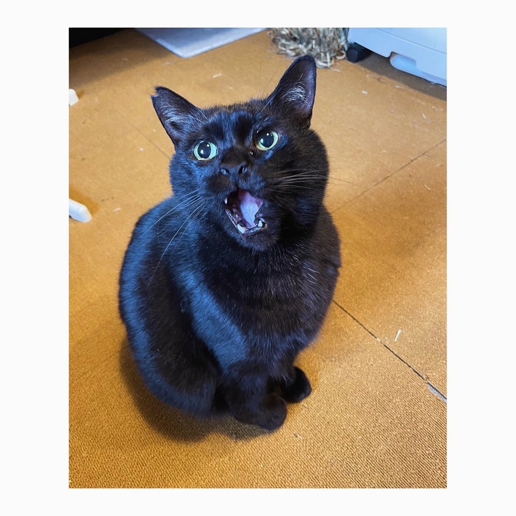 もぐ