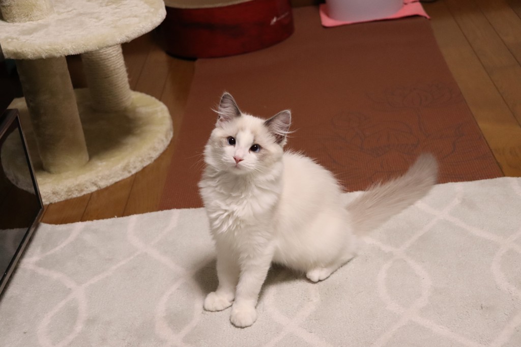 ゆずさん