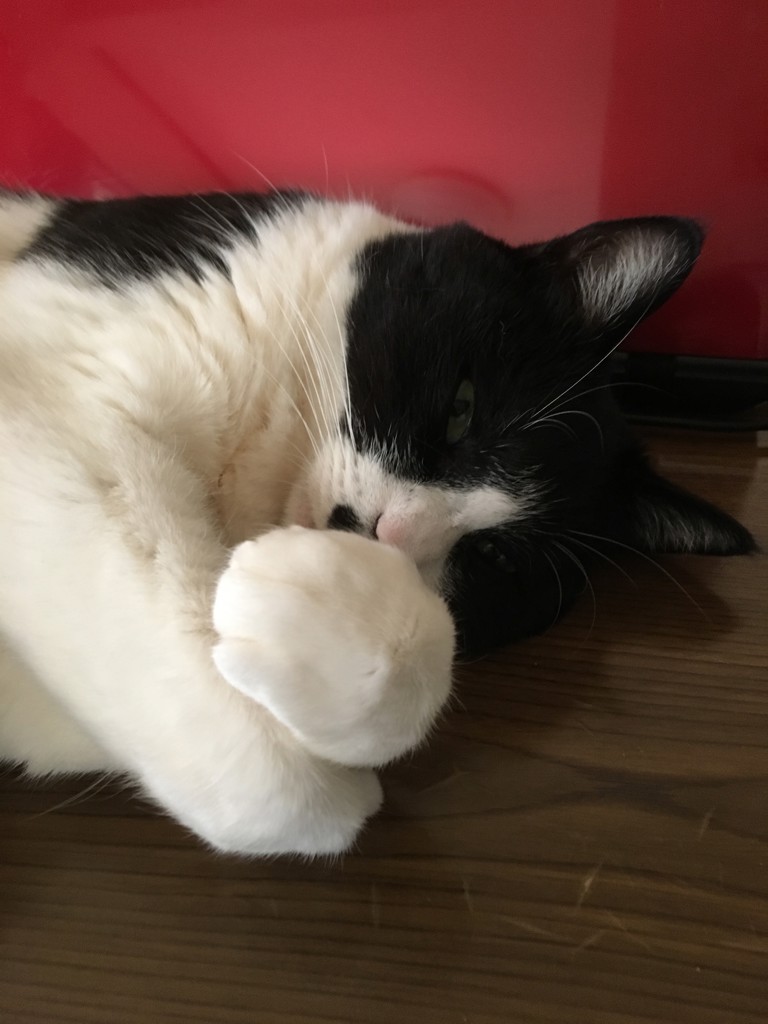 ひろろん