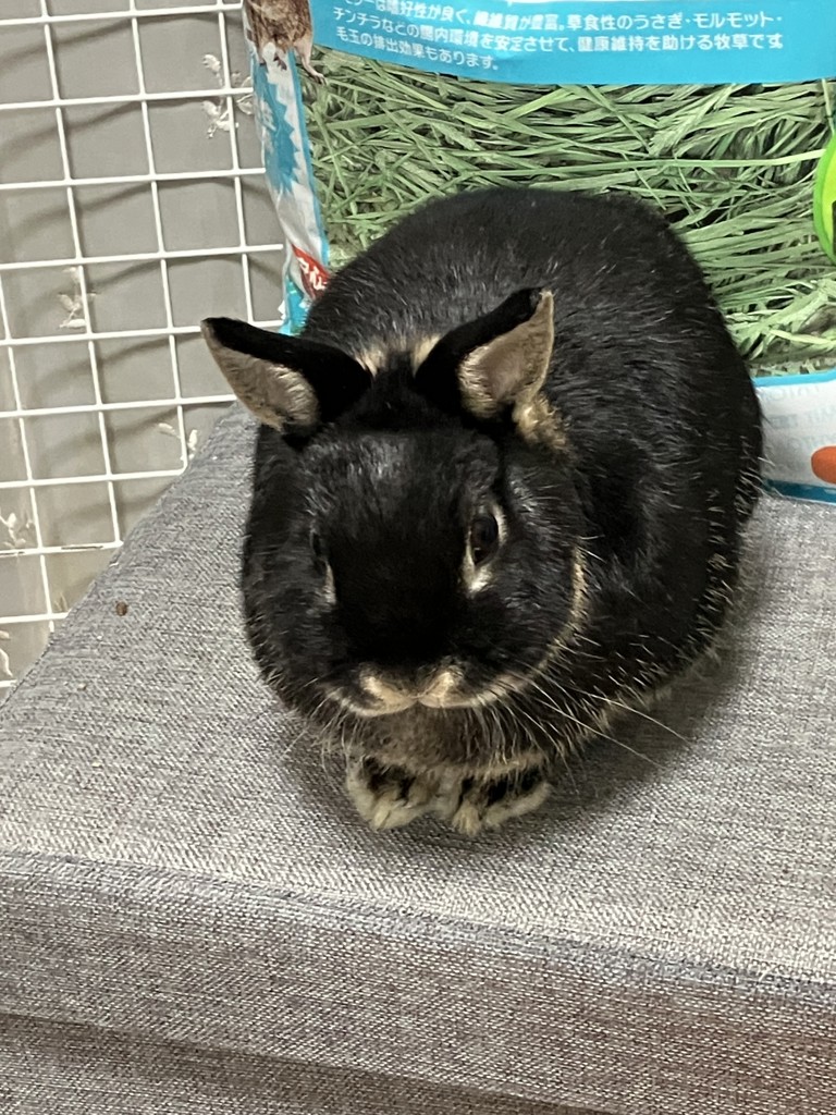 ユーザーアイコン