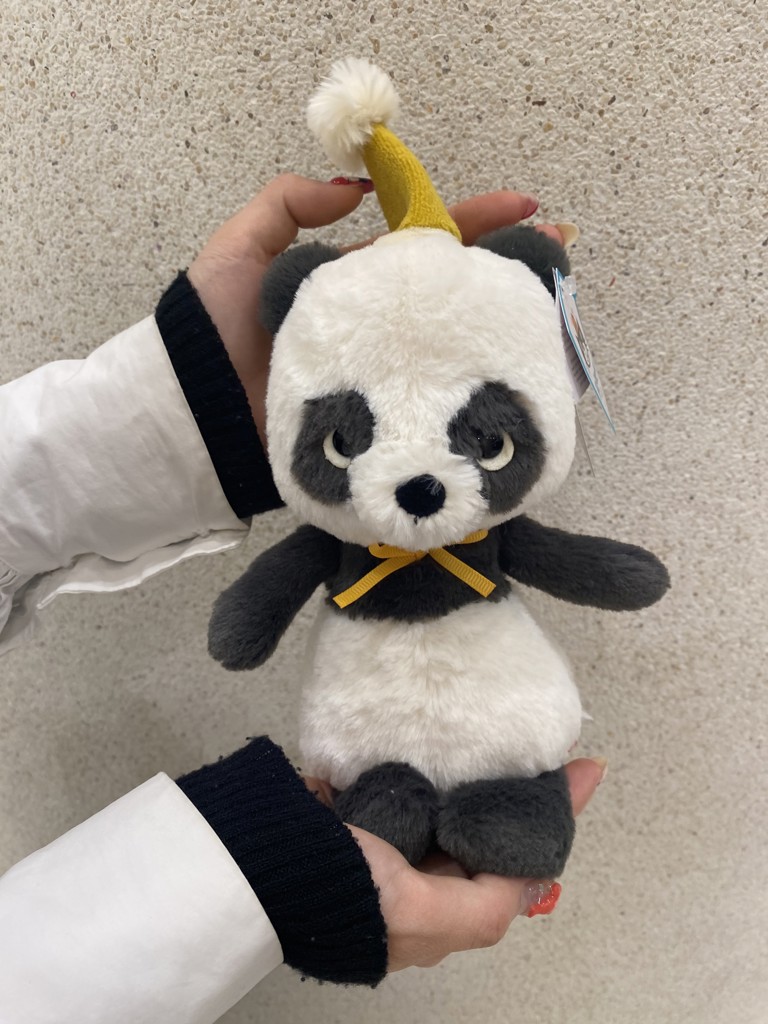 シュナだいすき