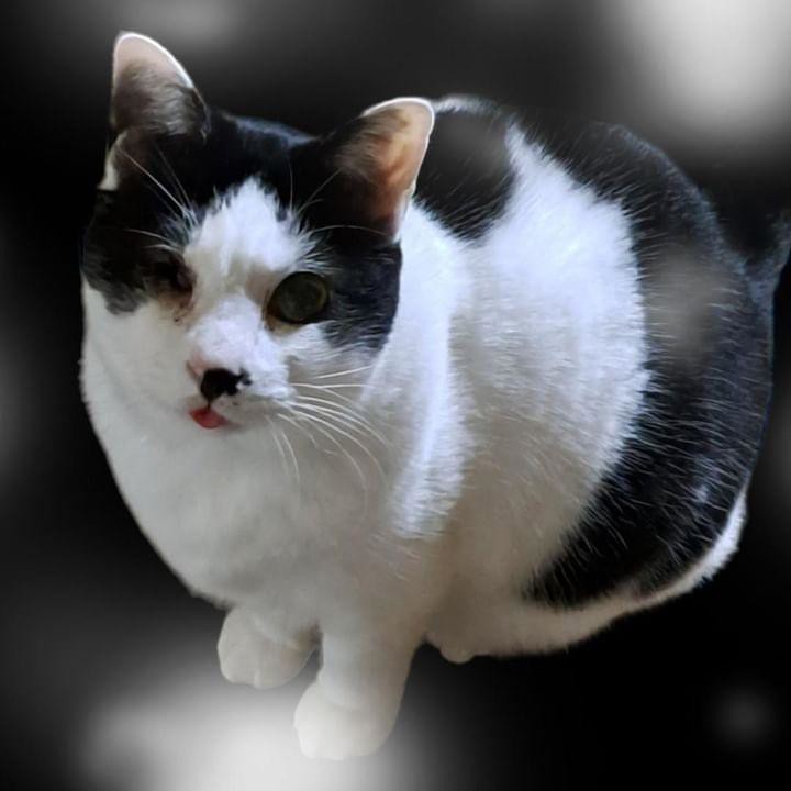 あゃん