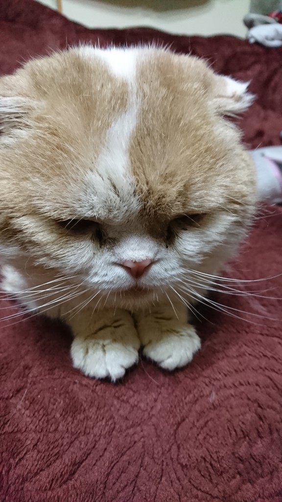 no name
