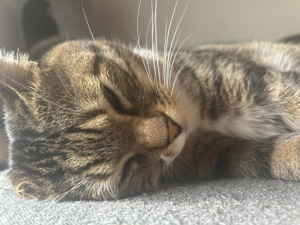 らいちゃん