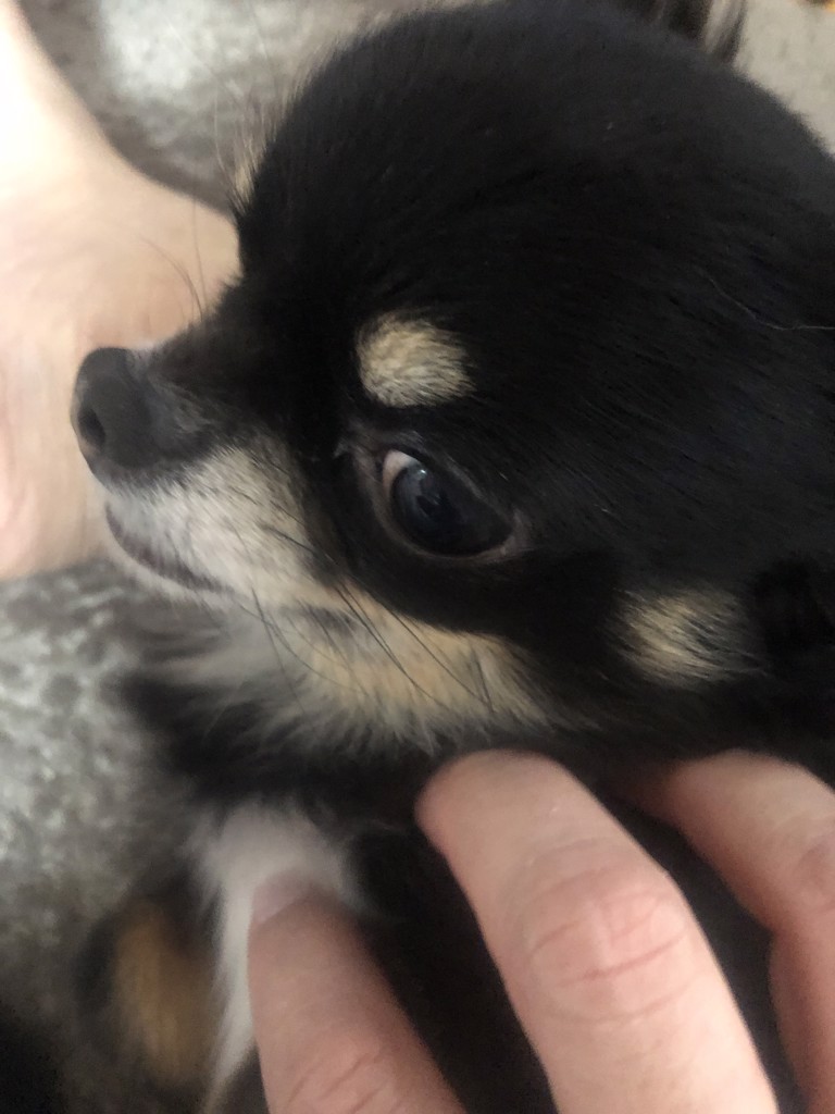 ユーザーアイコン