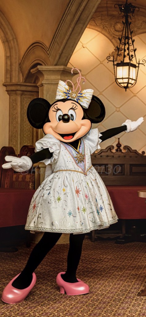 HAKKAN stick ［1袋（10本）］: 美容・健康LAVA公式オンラインストア