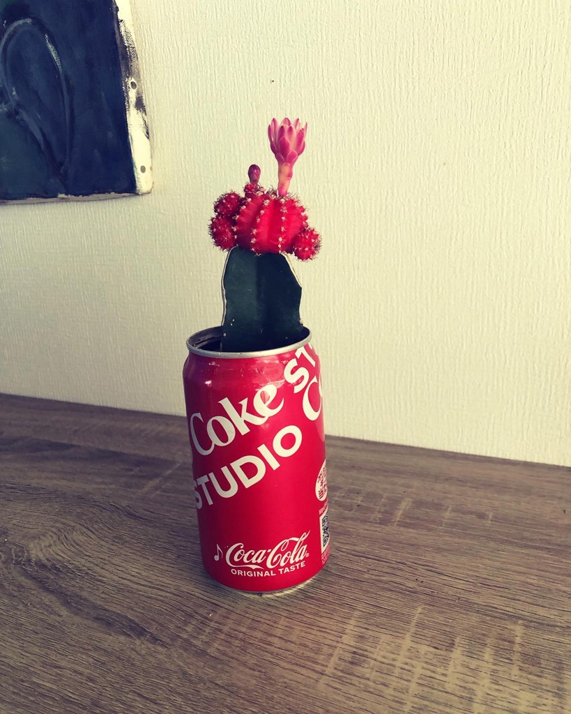 やーぎー