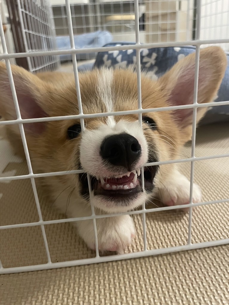 no name
