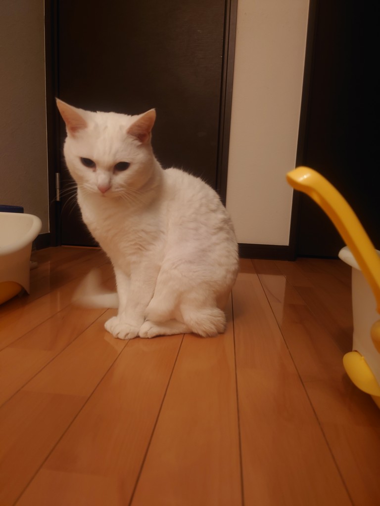 ユーザーアイコン