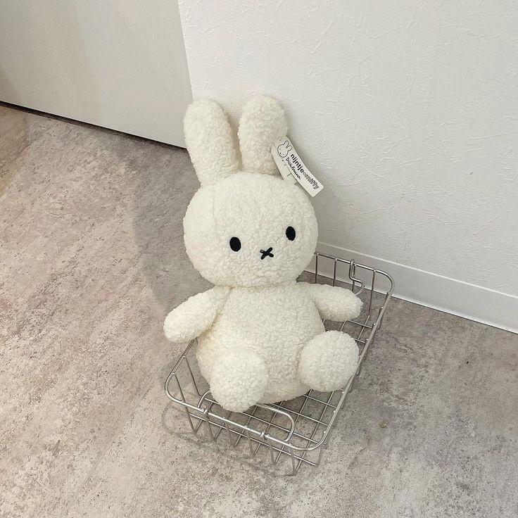 す ず ち ゃ