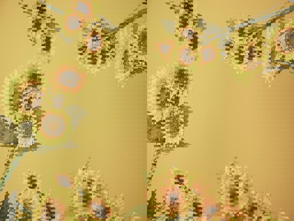 なお