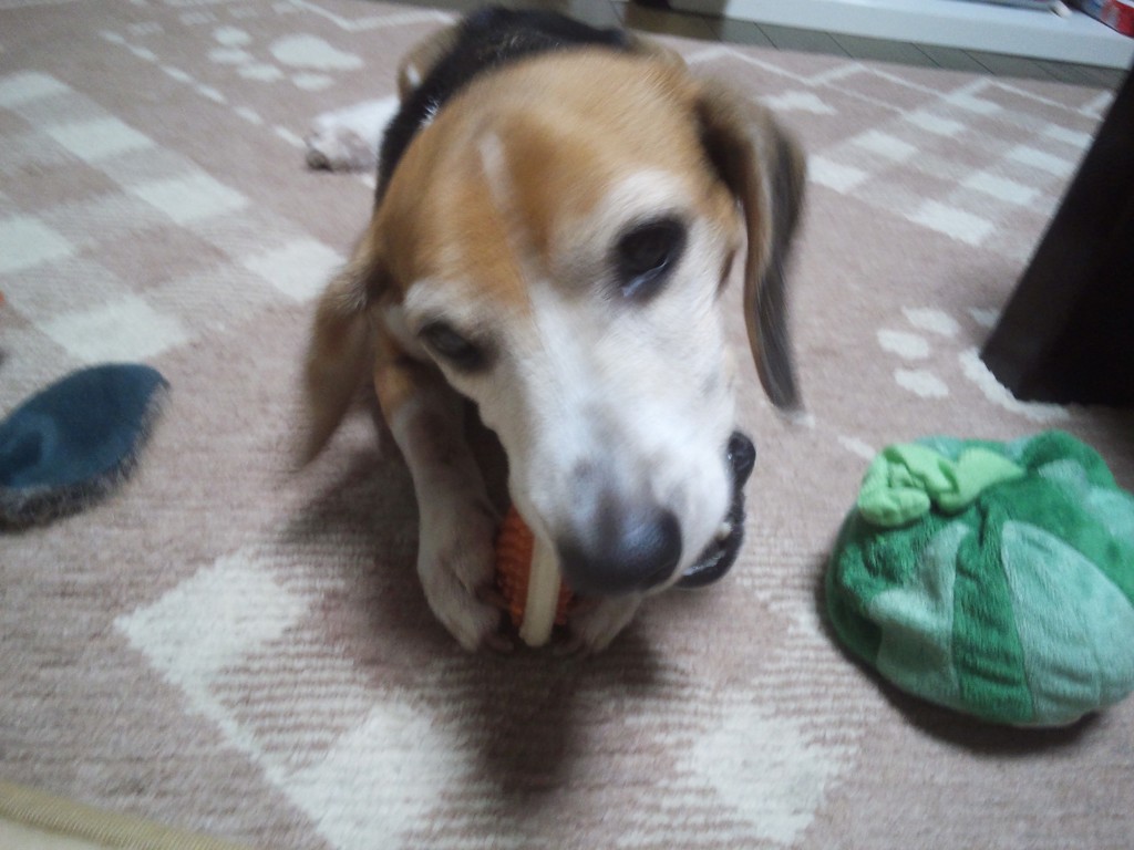 ユーザーアイコン