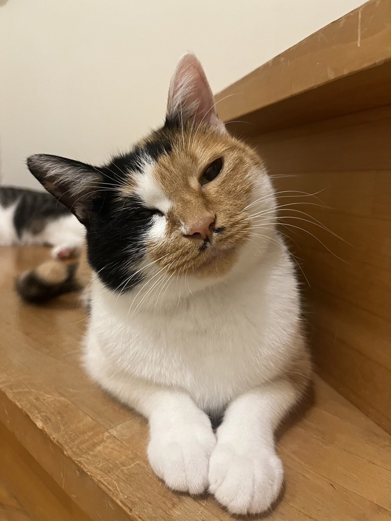 とも