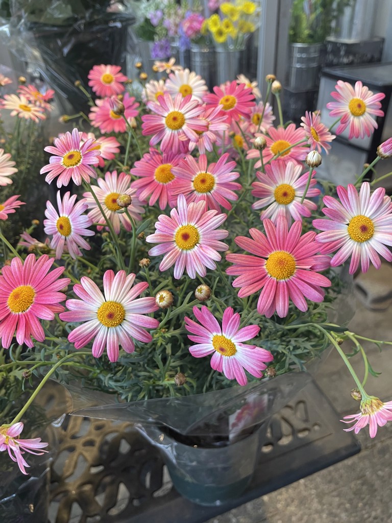 ユーザーアイコン