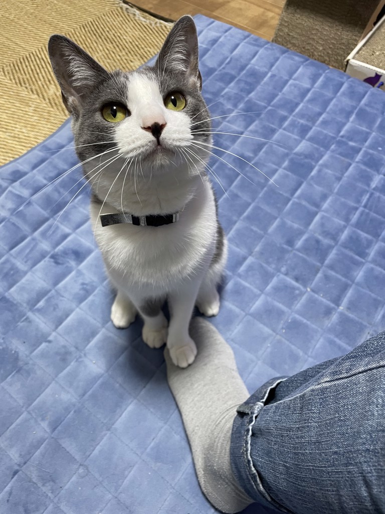 billy