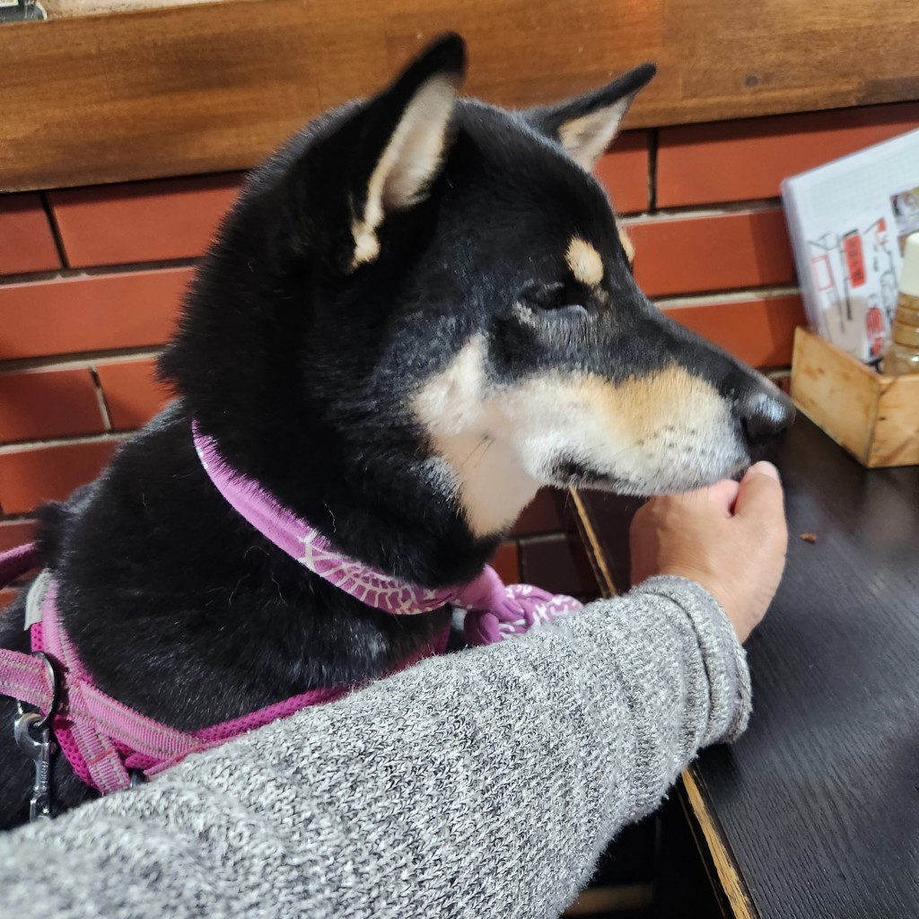 あんこ