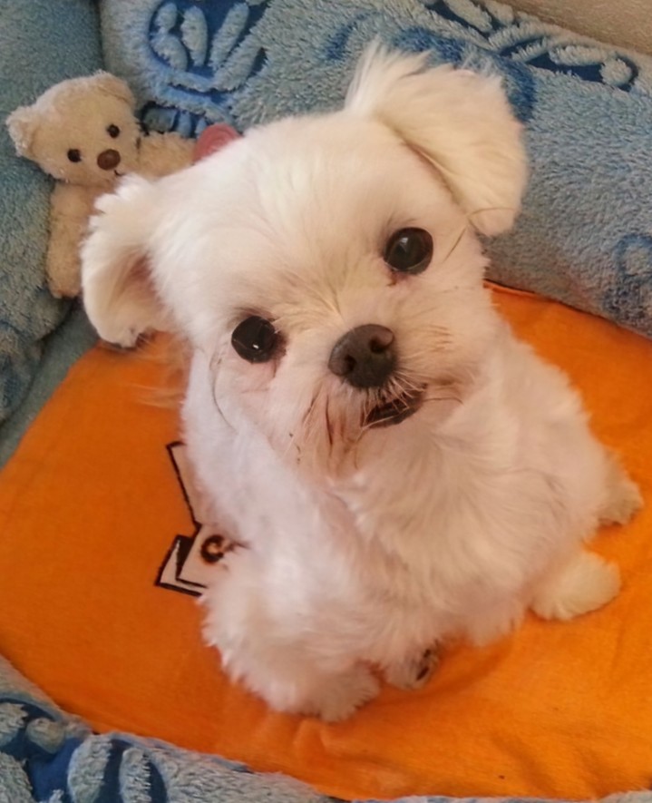 ユーザーアイコン