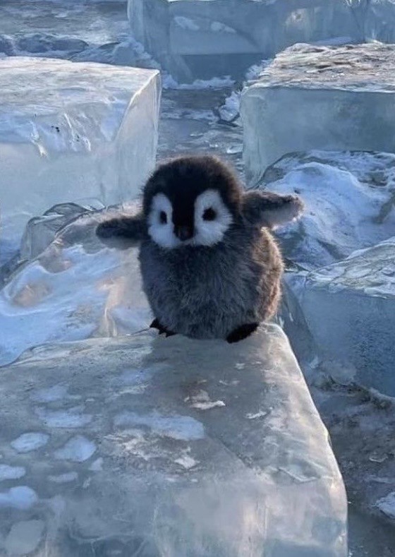 シャルレRW033ウェルネスピロー 洗えるピロー RW033 │ 通販