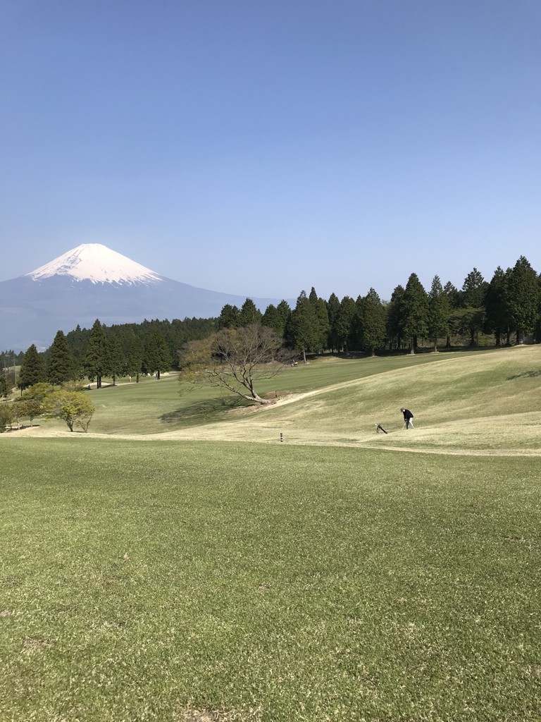 うさぎさん専用　ピン　ワンポケット　PING ONE POCKET PINGの今もなお人気のONE POCKETキャディバッグ！！ | OVDGOLF