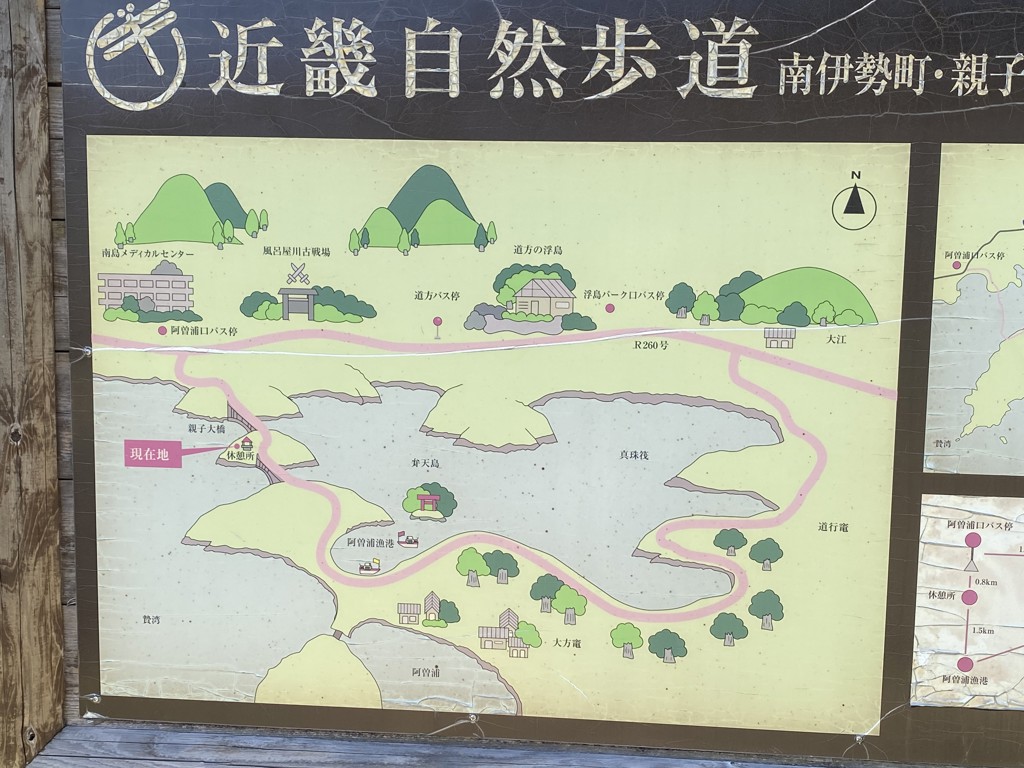 すずね