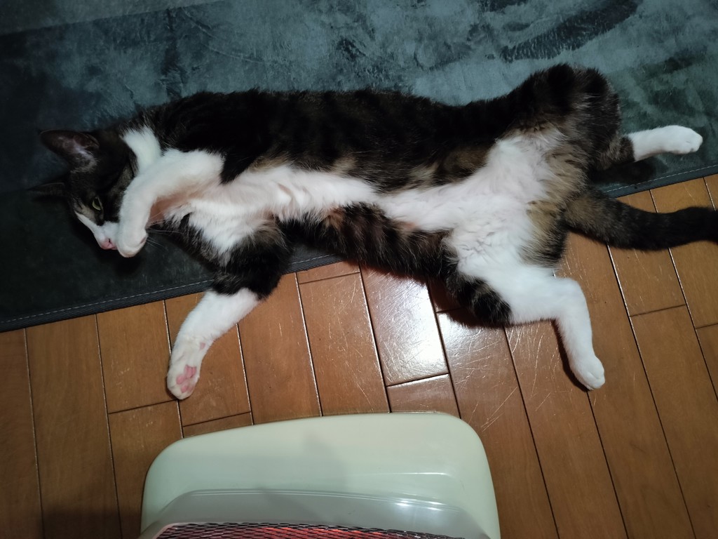 ふー