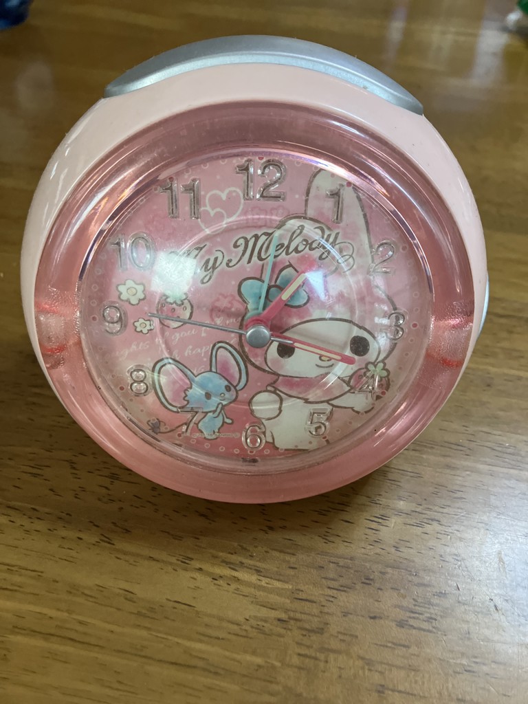 ヒヨコ🐣