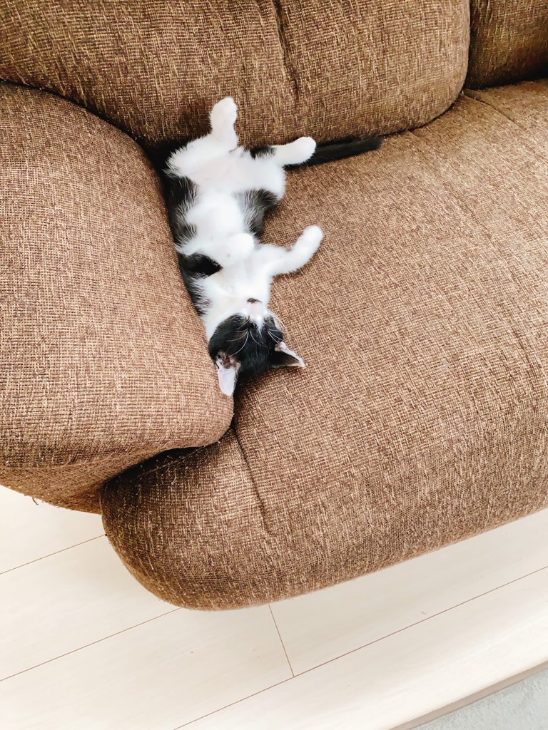 たぼくん