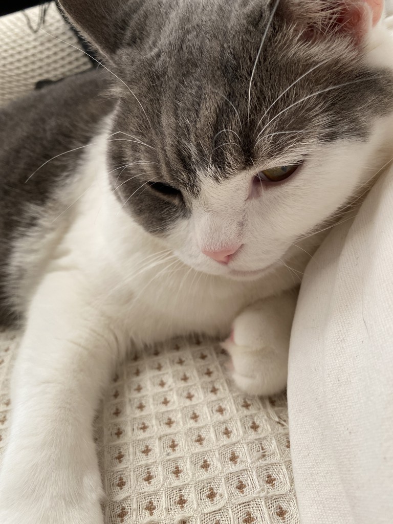 ふむふむ