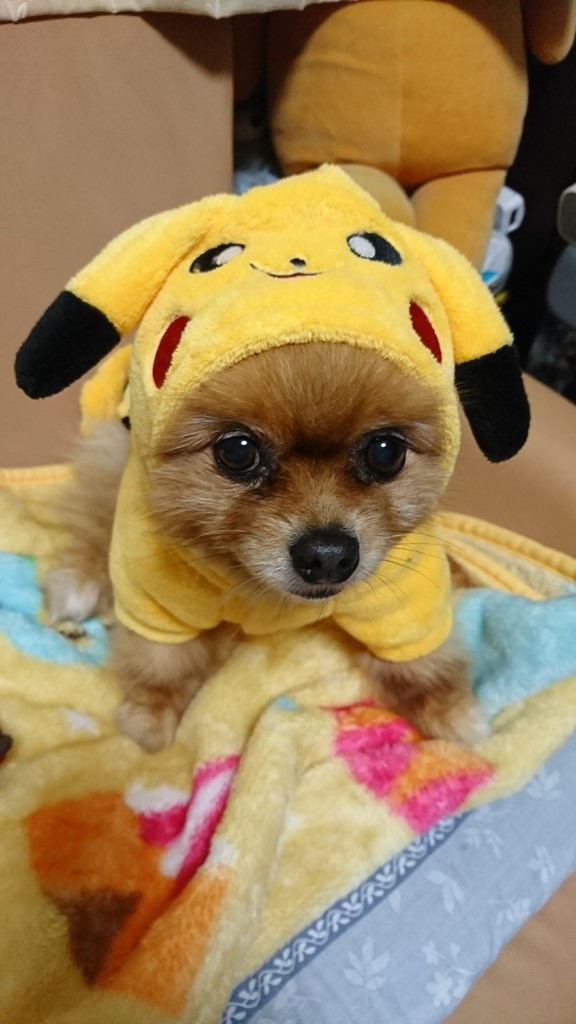 け