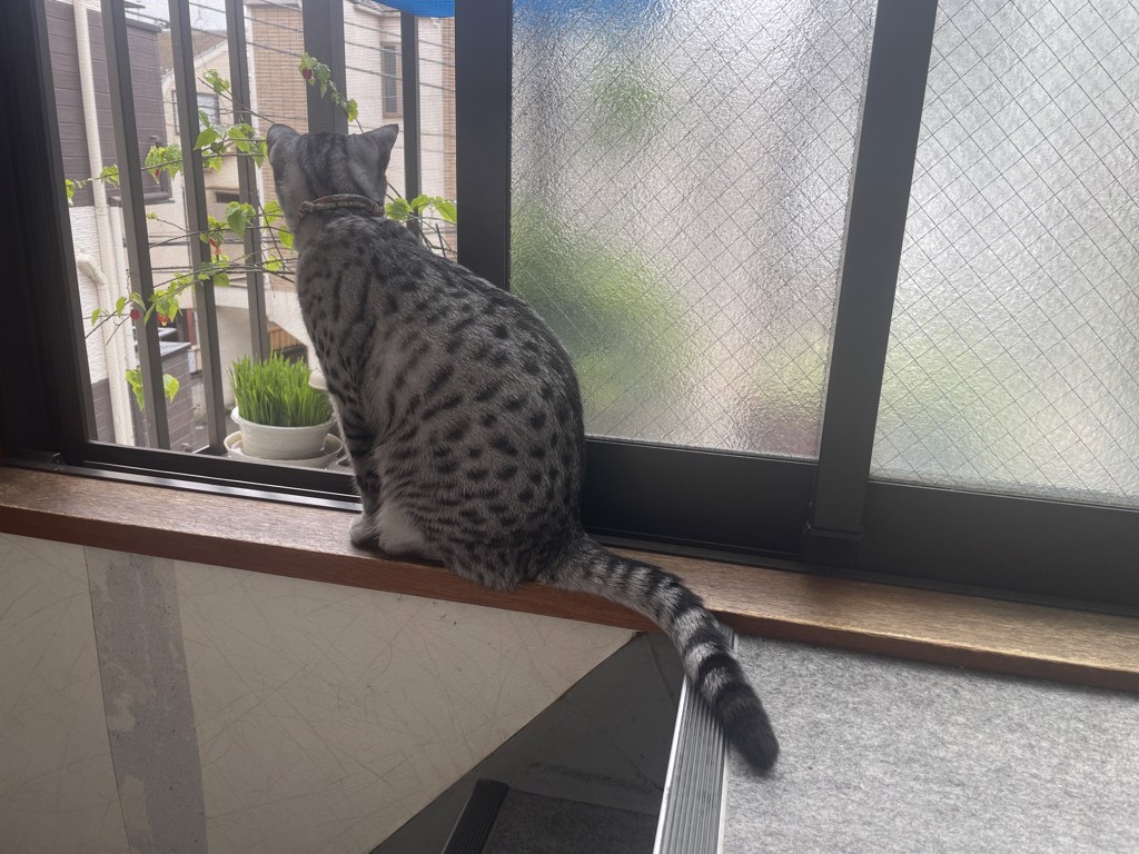 ユーザーアイコン