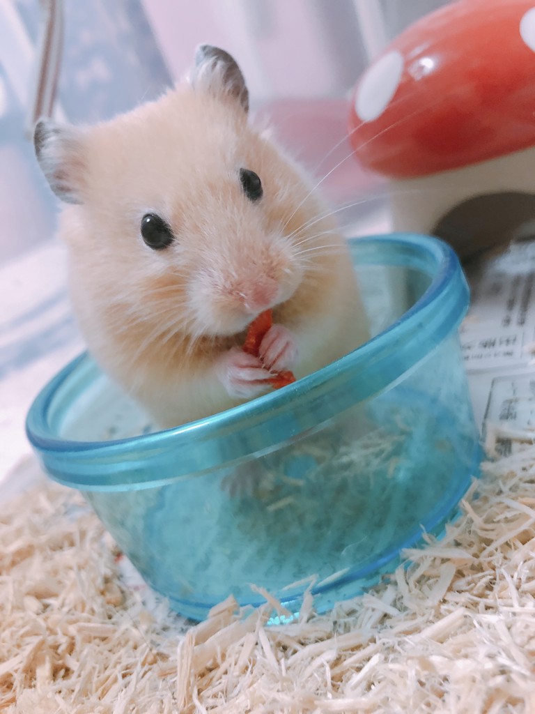 はる