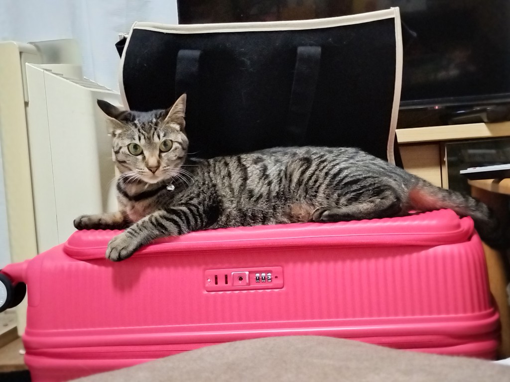 あやや