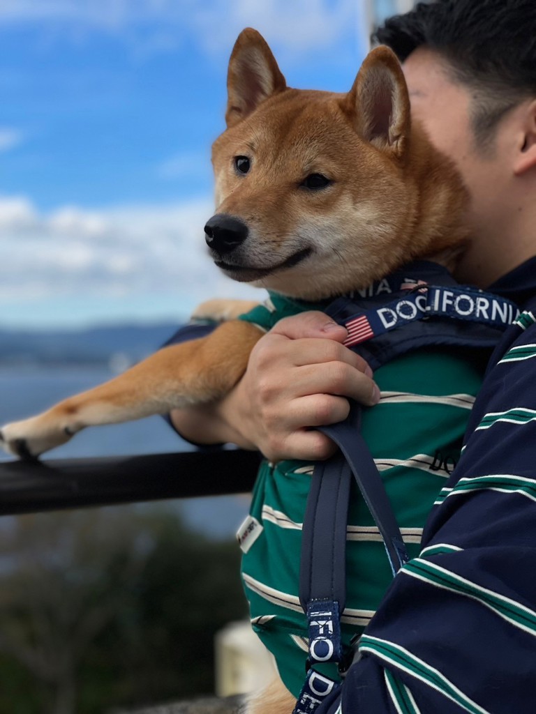 ばさ