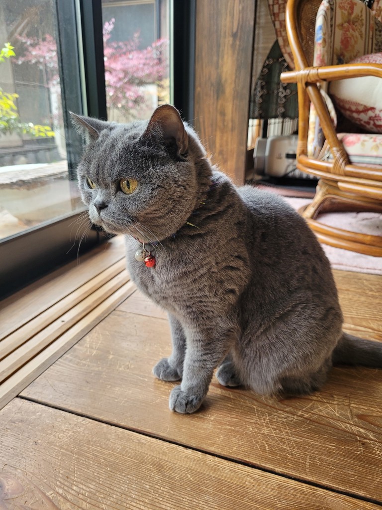 ユーザーアイコン