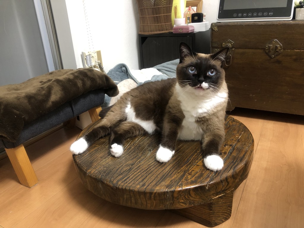 kijiko
