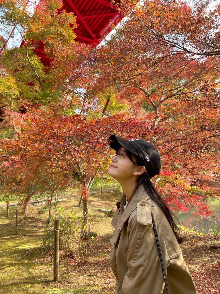 ぱれっと