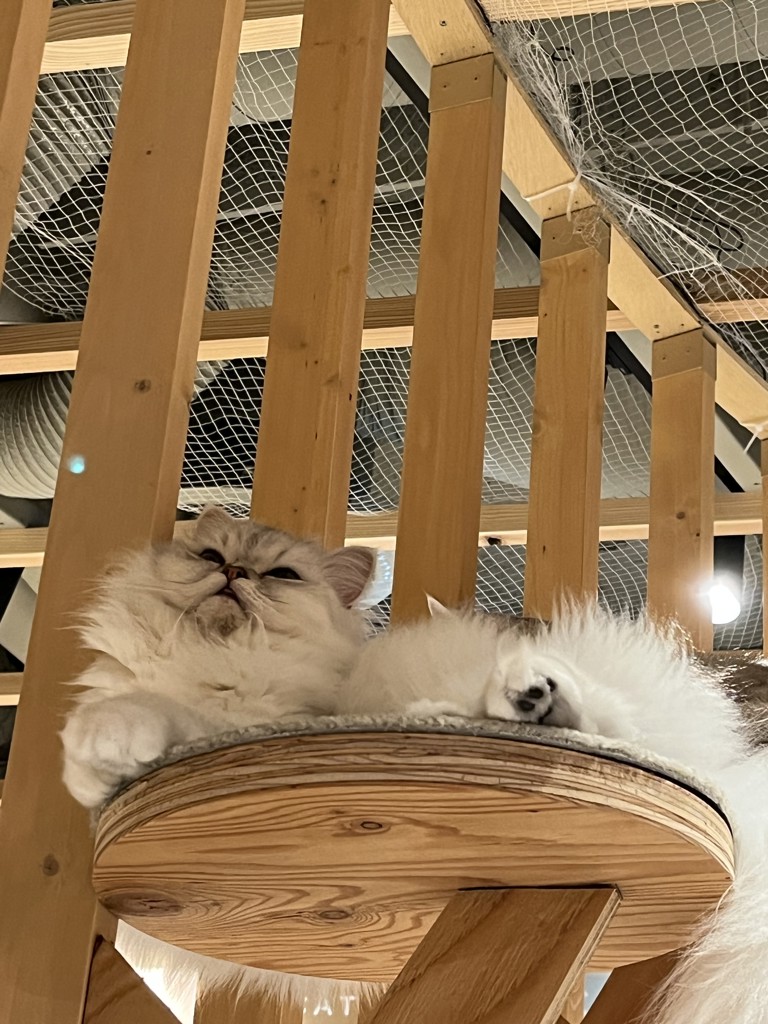 ユーザーアイコン