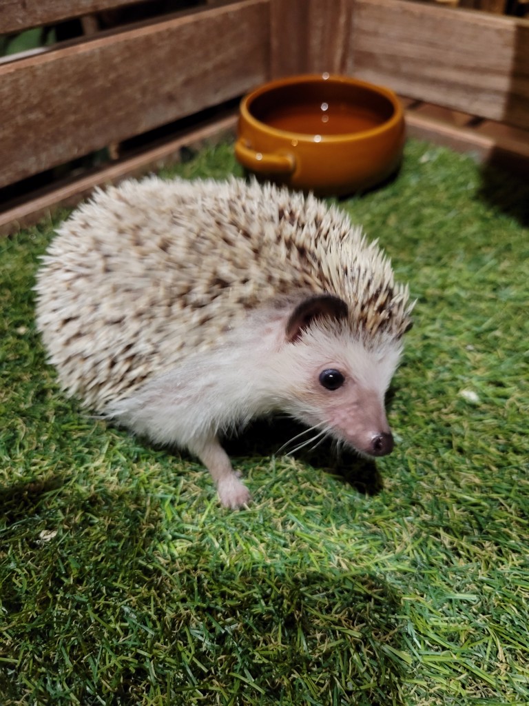 とも