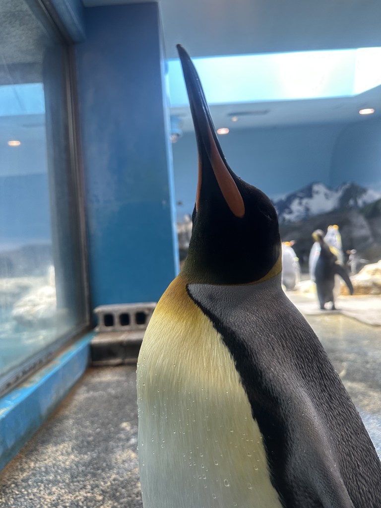 すい