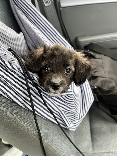 ユーザーアイコン