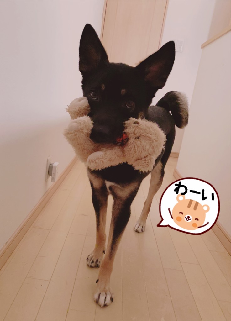 みぃ