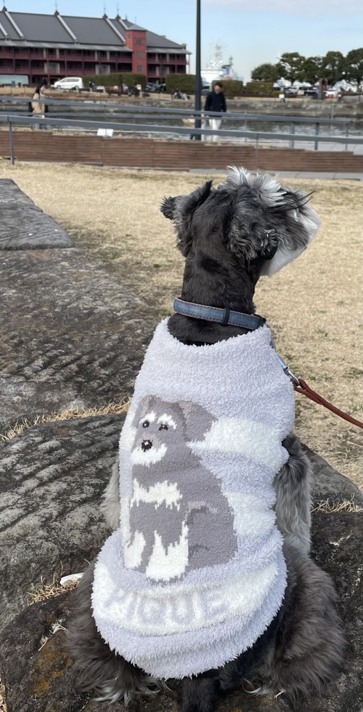 CAT&DOG】ベビモコシュナウザージャガードプルオーバーの口コミ一覧