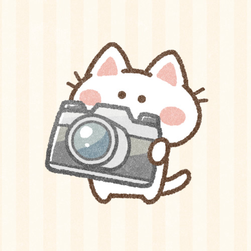 豆