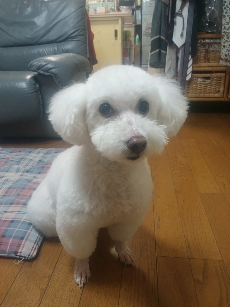 ユーザーアイコン
