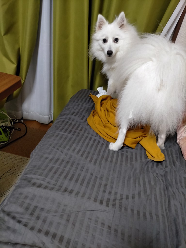 はな