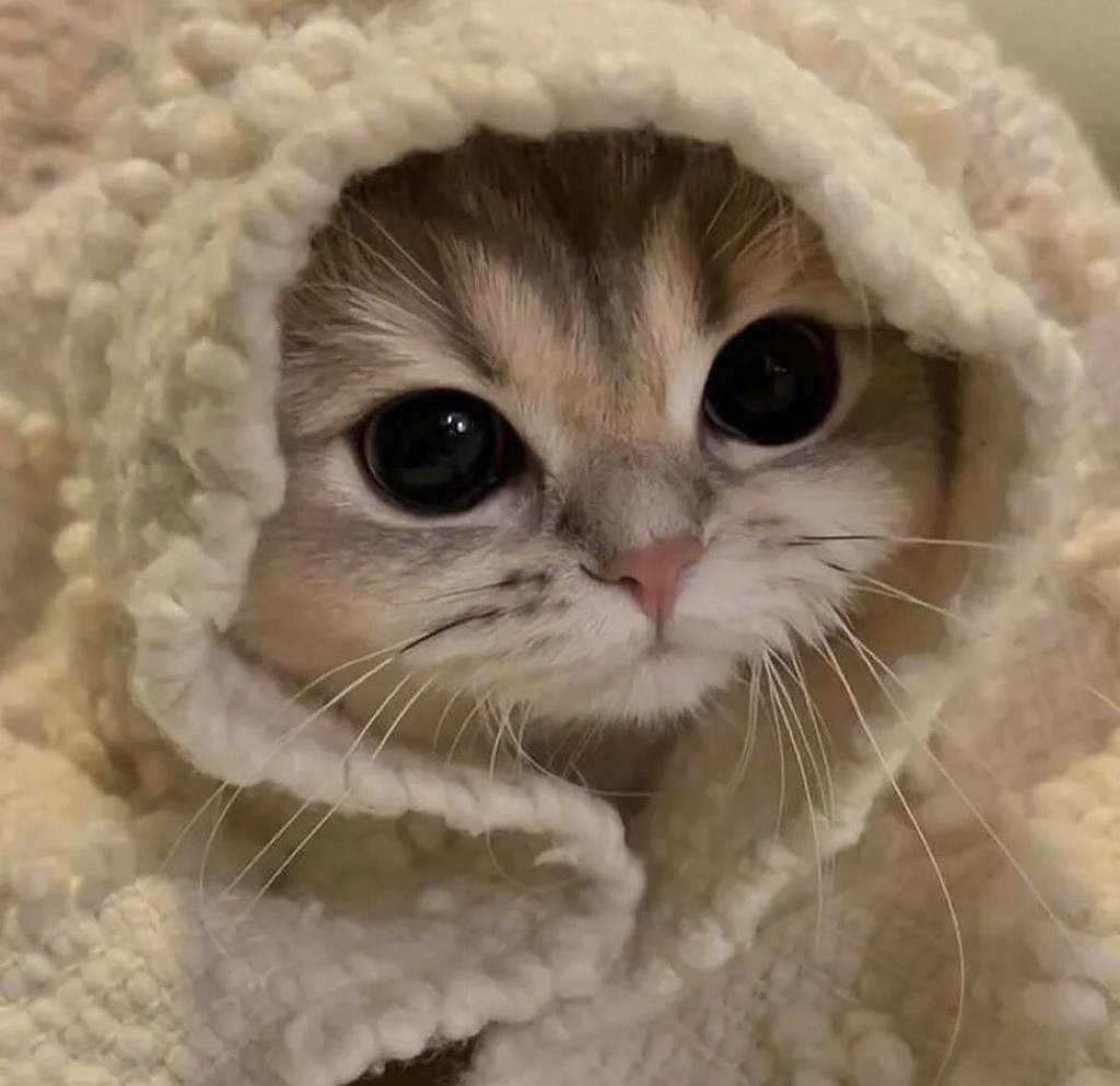 り