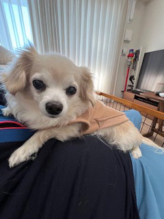 たも