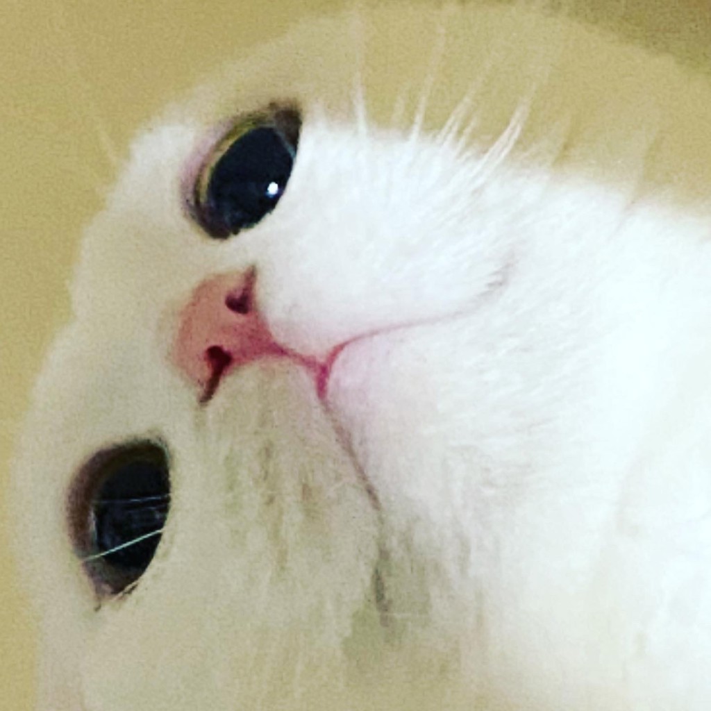 ナッツ大好き