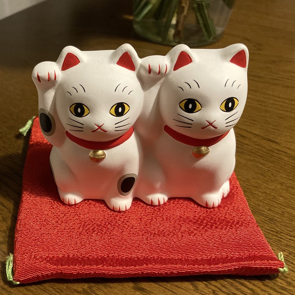 まつこふ